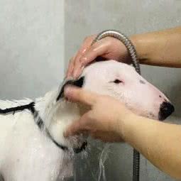 寻你Find·U:南京市栖霞区