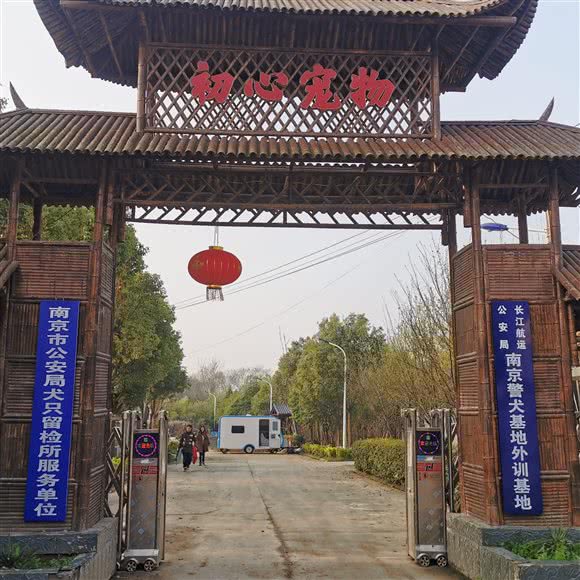 初心宠物寄养训练度假村:南京市江宁区