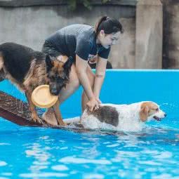 Sunny宠物乐园:南京市江宁区