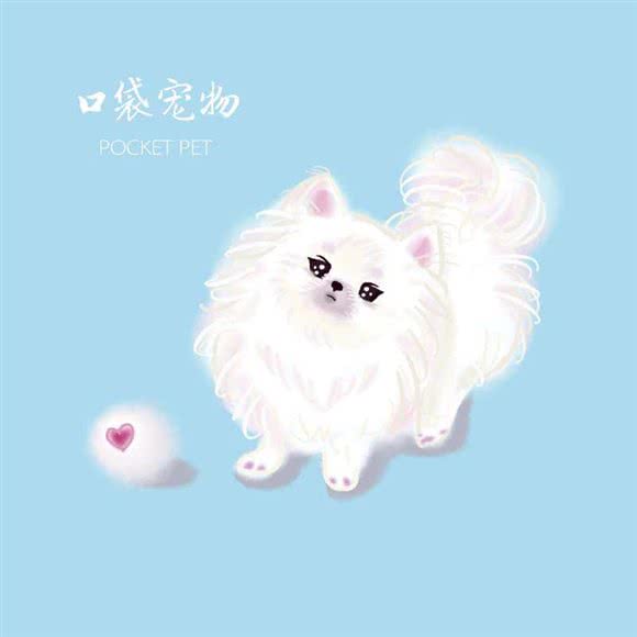 口袋宠物:南京市江宁区