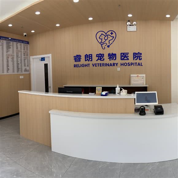 睿朗宠物医院(银亿东城店):南京市江宁区