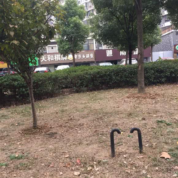 骨派头萌宠(葛塘店):南京市六合区