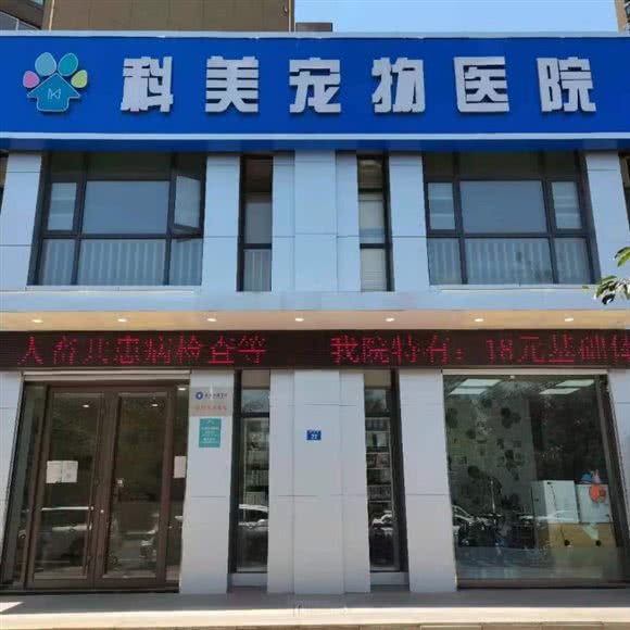 科美宠物医院龙池分院(龙池店):南京市六合区