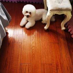 友缘宠物(东亭店):无锡市锡山区