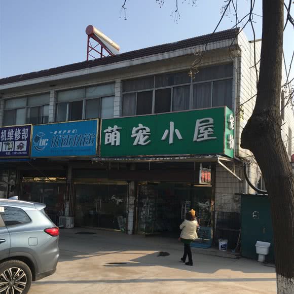 萌宠小屋宠物店:无锡市锡山区