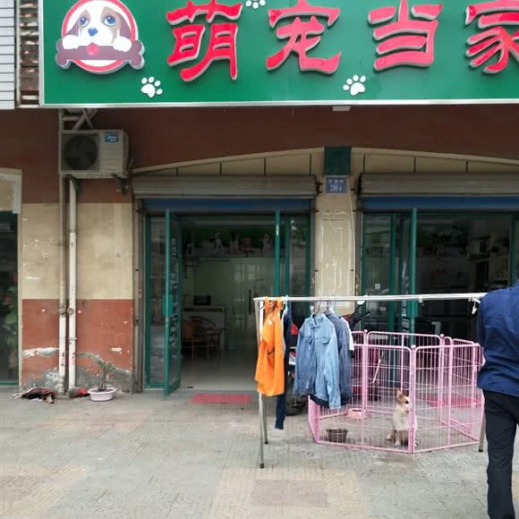 萌宠当家生活馆:无锡市锡山区