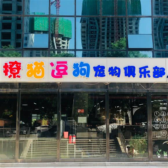 撩猫逗狗宠物俱乐部:太原市万柏林区迎泽西大街附近