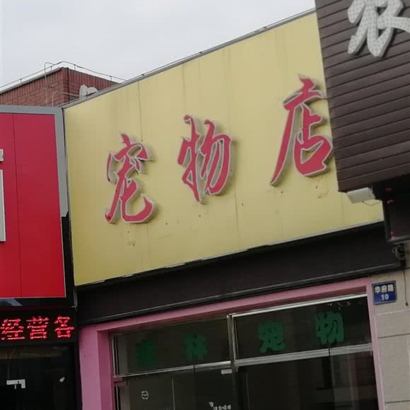 森林宠物(华府店):无锡市惠山区