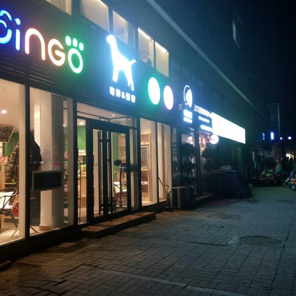 Lingo宠物:北京城区朝阳区百子湾附近