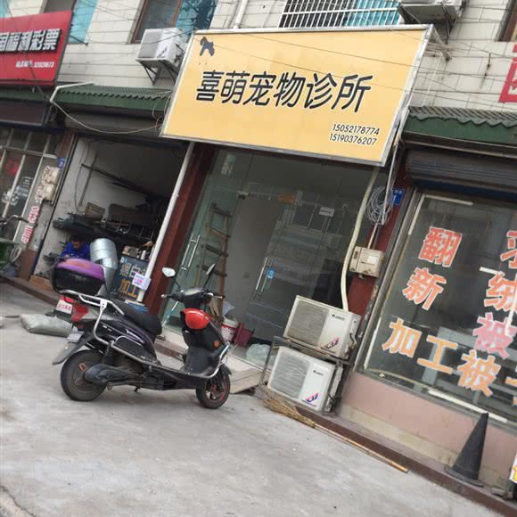 喜萌宠物:无锡市江阴市