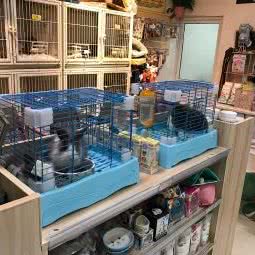 哈姆萌宠:无锡市江阴市