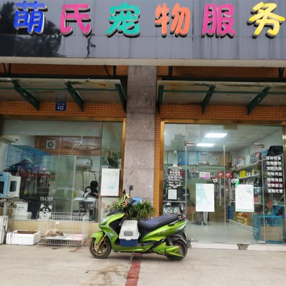 爱萌氏宠物服务社:无锡市江阴市