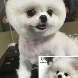 龙山大街汇龙街53号:无锡市江阴市