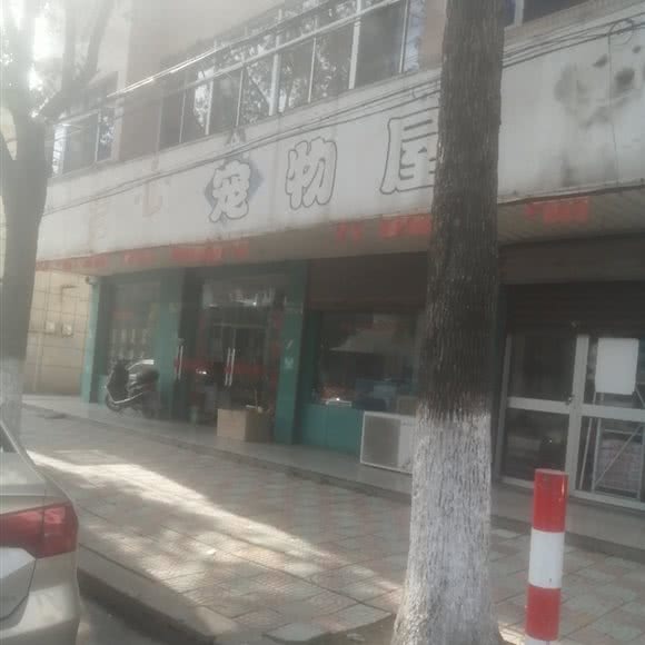 爱心宠物屋:无锡市江阴市