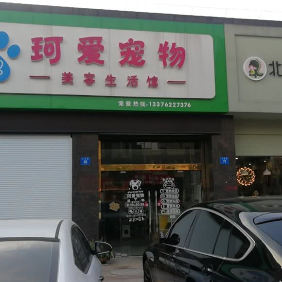 珂爱宠物:无锡市江阴市