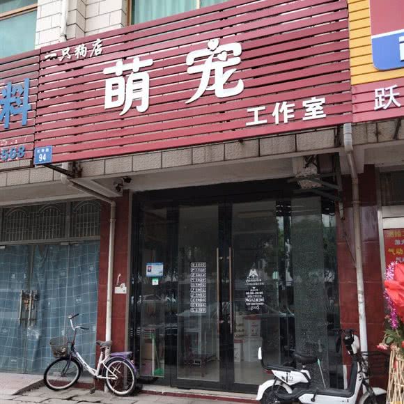 萌宠工作室:无锡市江阴市