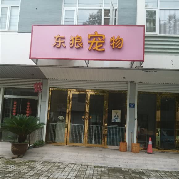 东狼宠物:无锡市江阴市