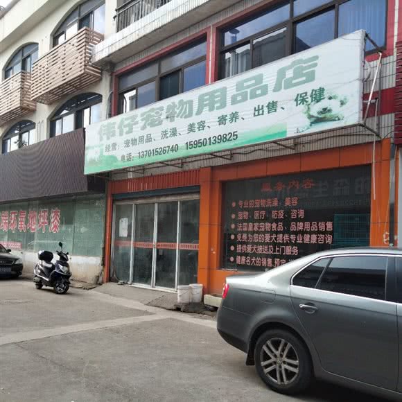 伟仔宠物用品超市:无锡市江阴市