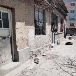 萌宠出没:太原市万柏林区兴华街附近