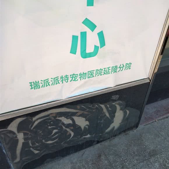 小动物外科中心(延陵分院):无锡市江阴市