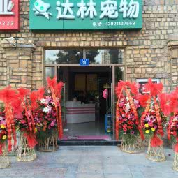 达林宠物诊所:无锡市江阴市