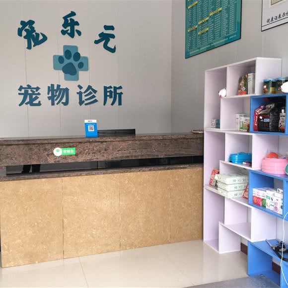 宠乐元宠物诊所:无锡市江阴市