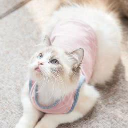 官林镇官林乐贝宠物:无锡市宜兴市