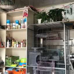 叮铛宠物:无锡市宜兴市