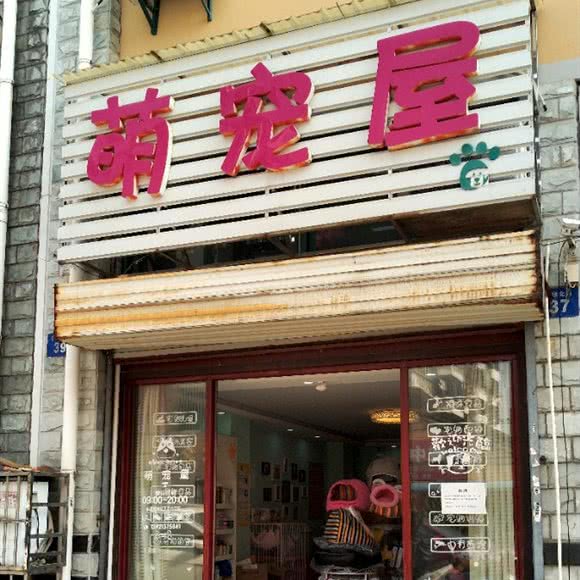 萌宠屋:无锡市宜兴市