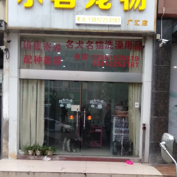小茗宠物(广汇店):无锡市宜兴市