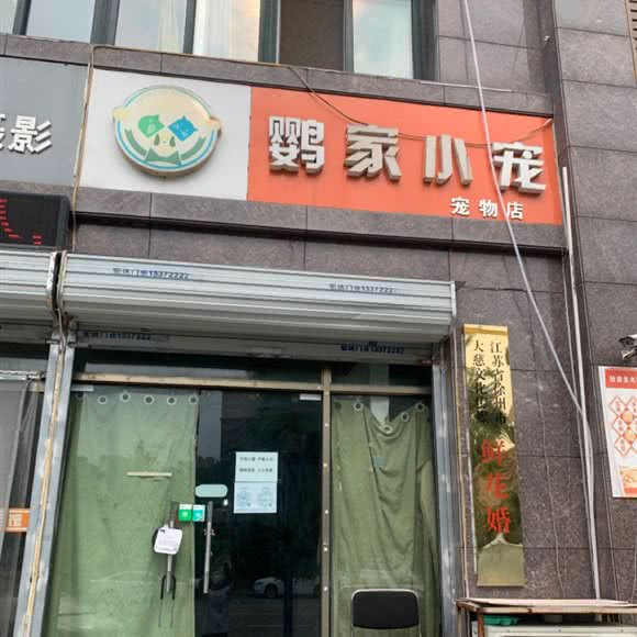 鹦家小宠宠物店:徐州市鼓楼区
