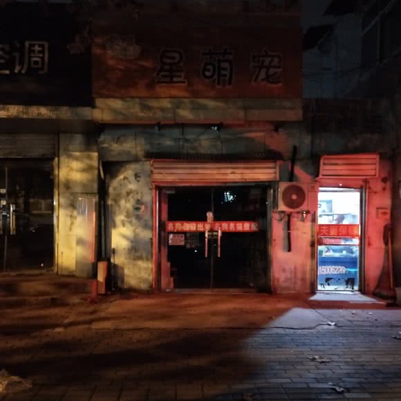 星在萌宠:徐州市鼓楼区