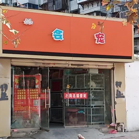 会宠:徐州市鼓楼区