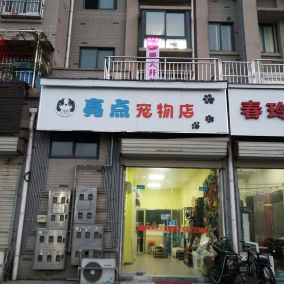亮点宠物店:徐州市鼓楼区