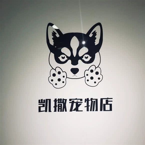 凯撒宠物:徐州市云龙区