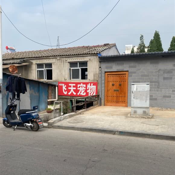 飞天宠物:徐州市云龙区