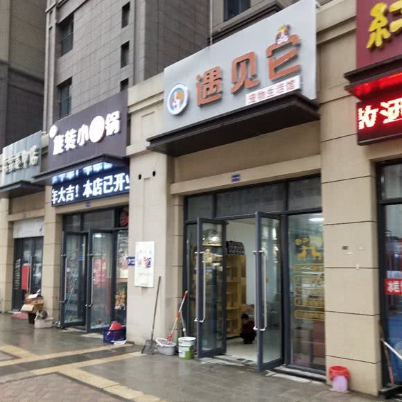 遇见它宠物生活馆:徐州市泉山区