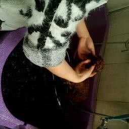 金典宠物:徐州市泉山区