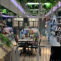 精灵萌宠:太原市万柏林区长风商务区附近