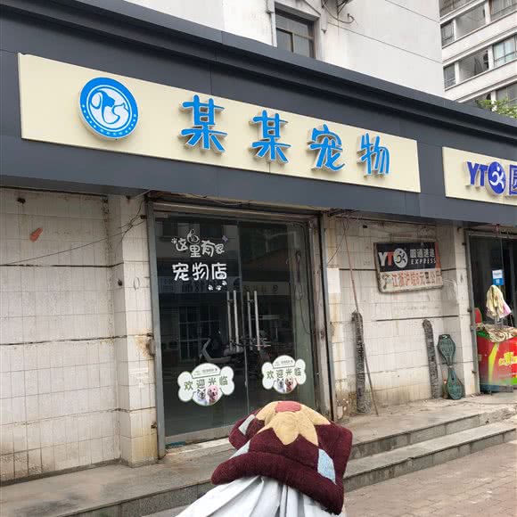某某宠物:徐州市泉山区