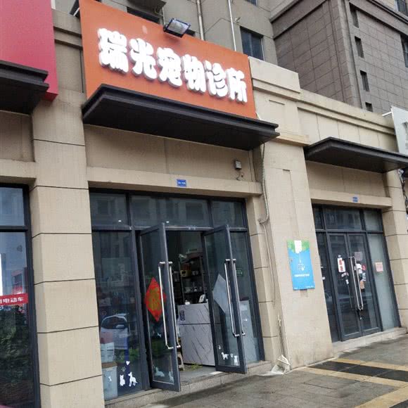 瑞光宠物诊所:徐州市泉山区