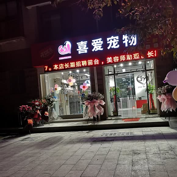 喜爱宠物:徐州市铜山区