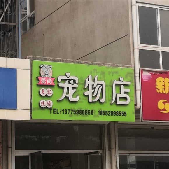 爱尚宠物店:徐州市铜山区