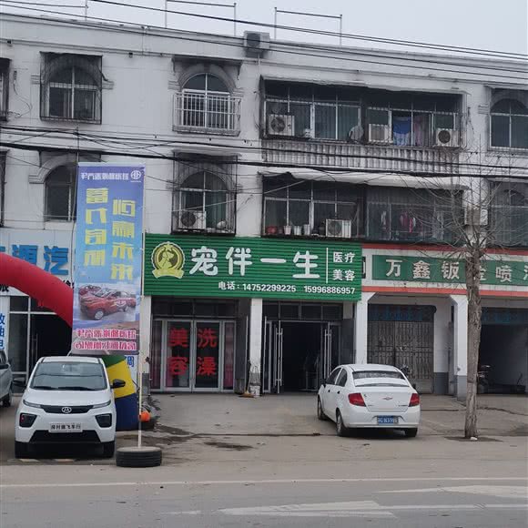 宠伴一生:徐州市铜山区