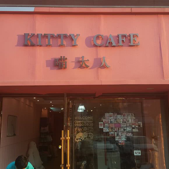 喵大人:徐州市丰县