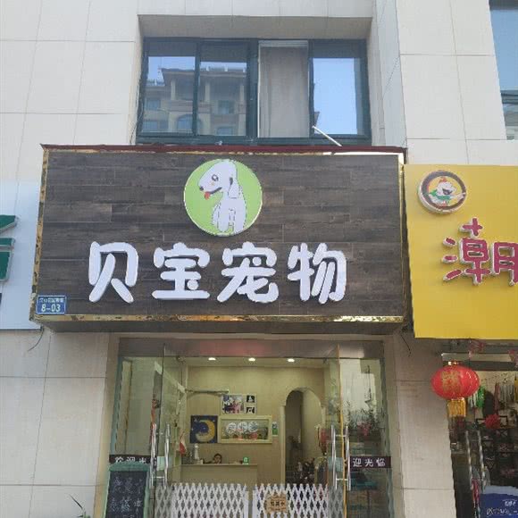 贝宝宠物:徐州市丰县