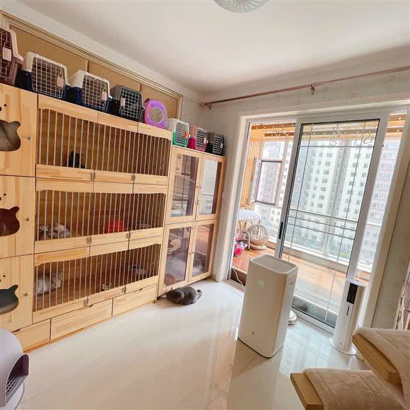 甜心猫舍:太原市万柏林区长风商务区附近