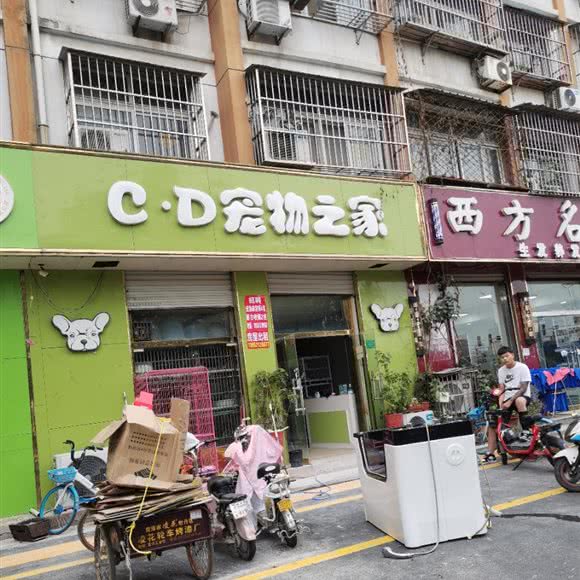 C·D宠物之家:徐州市丰县
