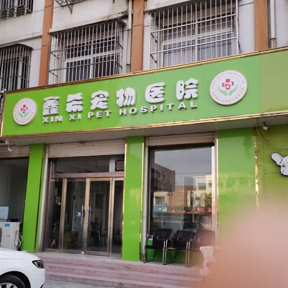 鑫希宠物医院:徐州市丰县