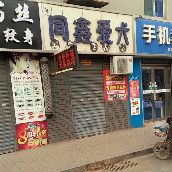 同鑫爱犬:太原市万柏林区长风商务区附近